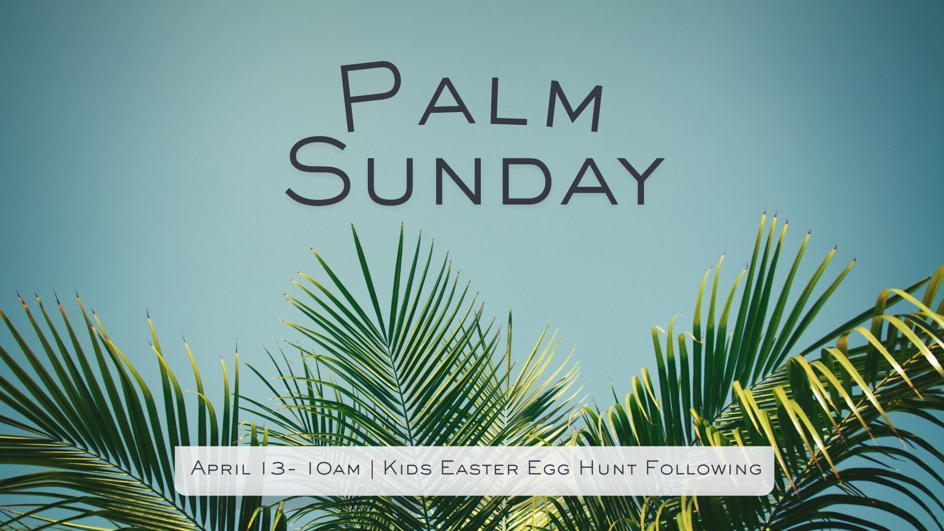 Palm Sunday 25 (Presentation)